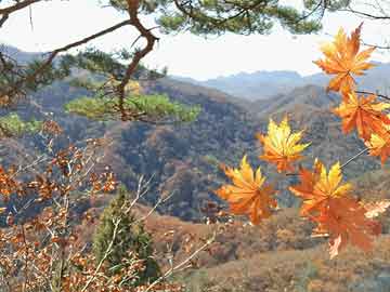 河朗鎮(zhèn)最新招聘信息全面解析