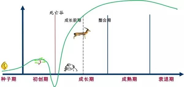 澳門王中王100,精細解讀解析_X45.963