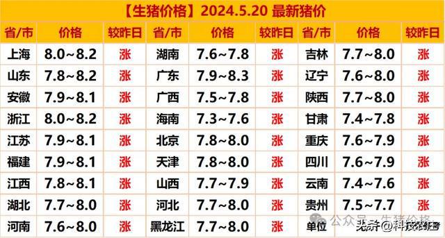 最新豬價行情分析與預測，價格走勢及未來展望