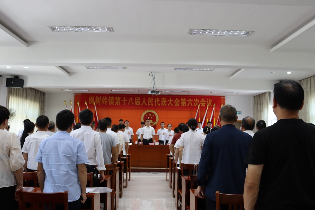 桐嶺鎮(zhèn)人事任命揭曉，新一輪力量布局推動(dòng)地方發(fā)展