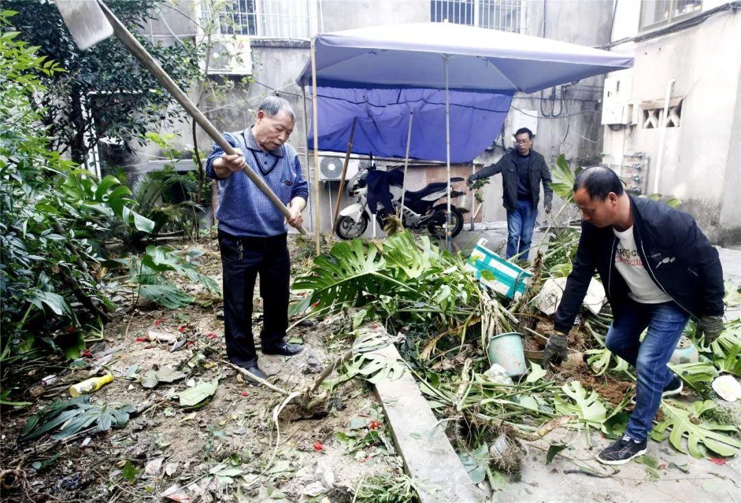 鶴峰縣衛(wèi)生健康局新項(xiàng)目助力健康鶴峰建設(shè)升級