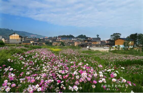 陽賽村民委員會最新招聘啟事概覽