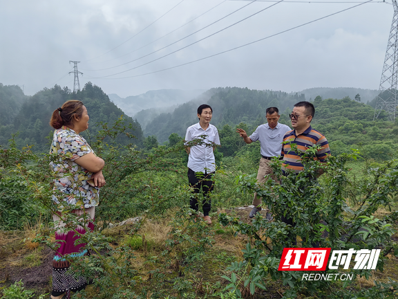 夏果村新項目啟動，鄉(xiāng)村振興新篇章