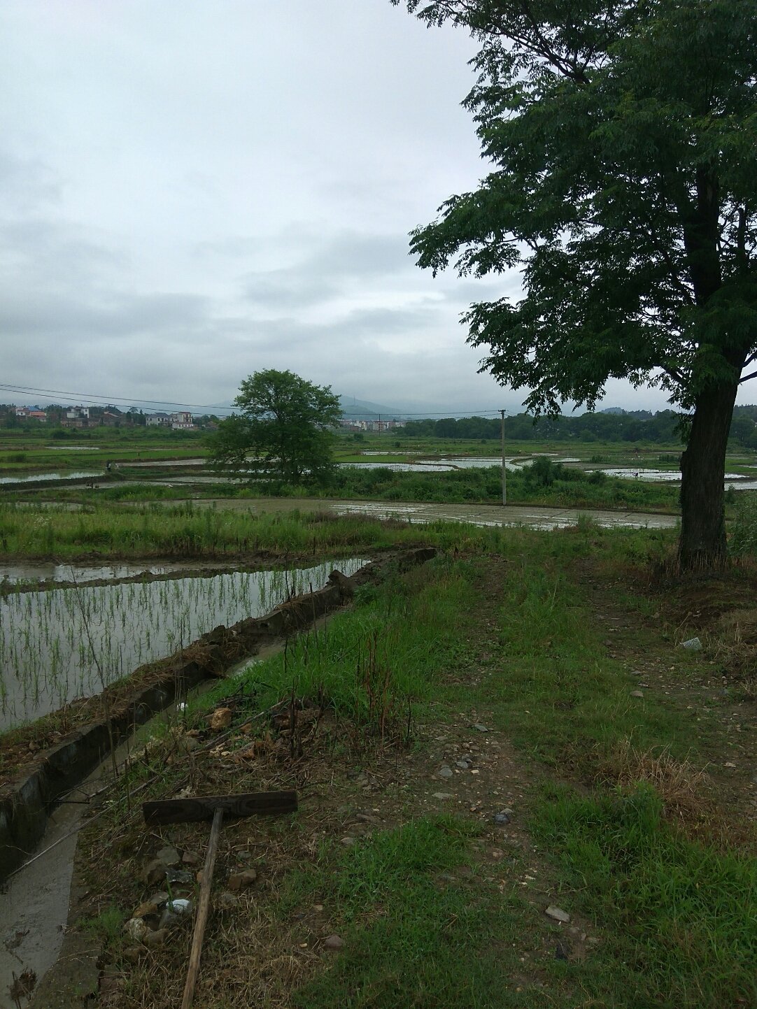 松源鎮(zhèn)天氣預報更新通知