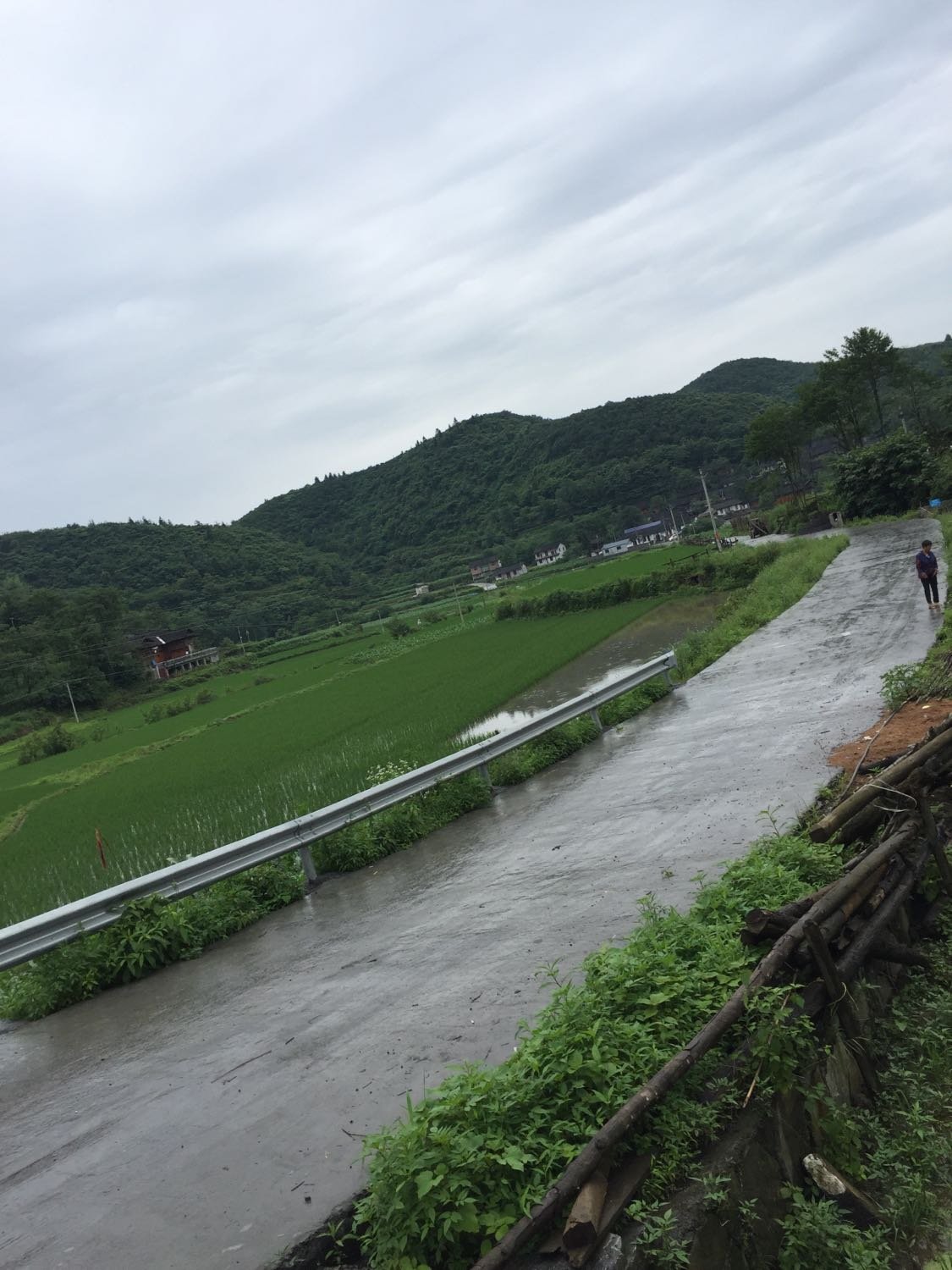 謝果村今日天氣預(yù)報(bào)