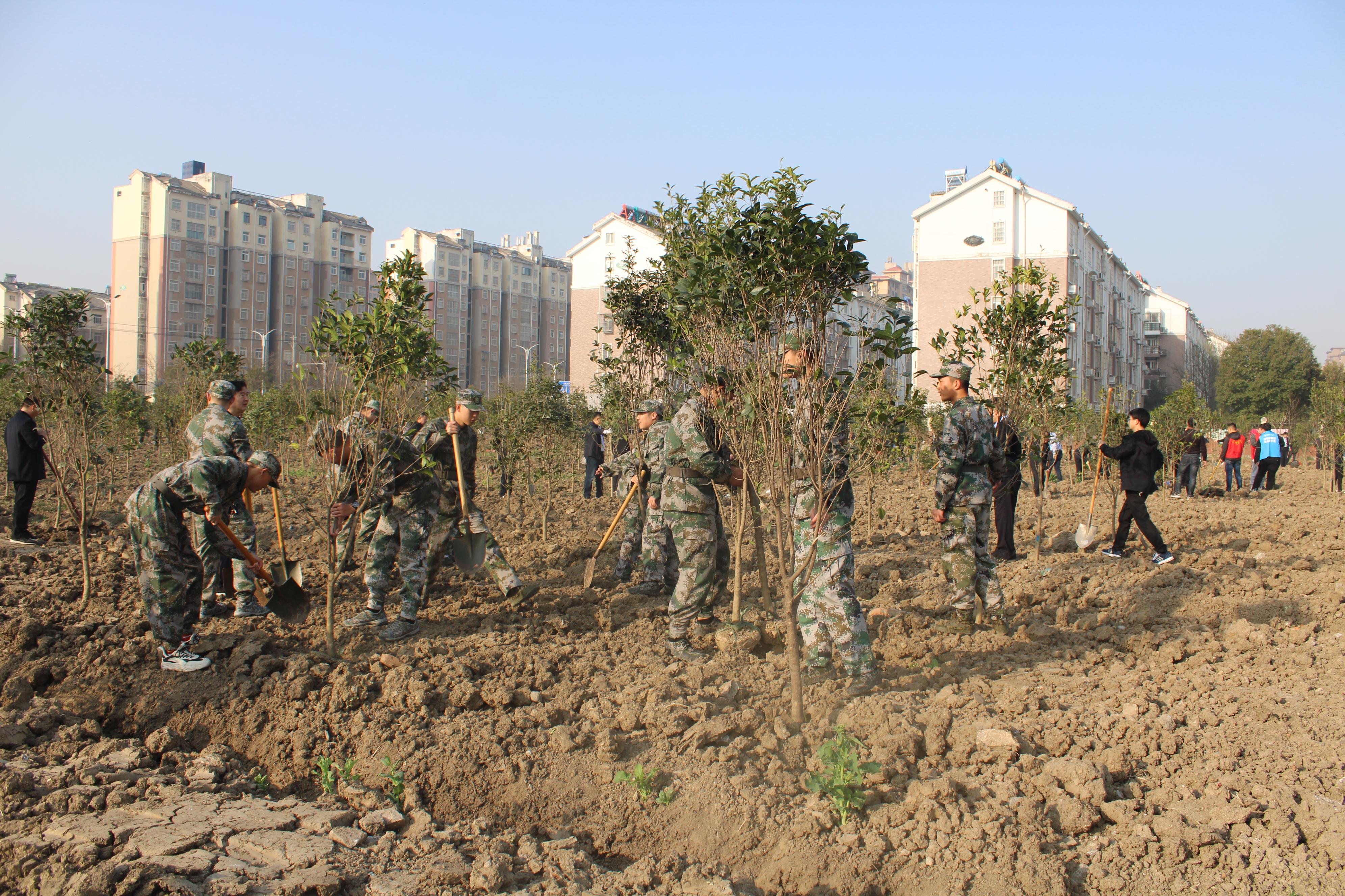 壽縣退役軍人事務(wù)局深化服務(wù)項(xiàng)目，推動(dòng)退役軍人事業(yè)榮譽(yù)尊崇的新發(fā)展