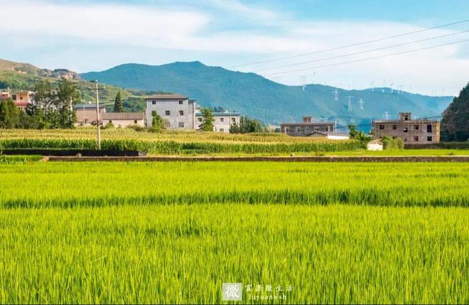 學(xué)田鎮(zhèn)富源林場天氣預(yù)報(bào)更新通知