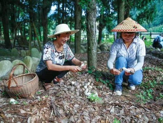 仙女鎮(zhèn)領(lǐng)導(dǎo)團隊引領(lǐng)未來，鑄就輝煌新篇章